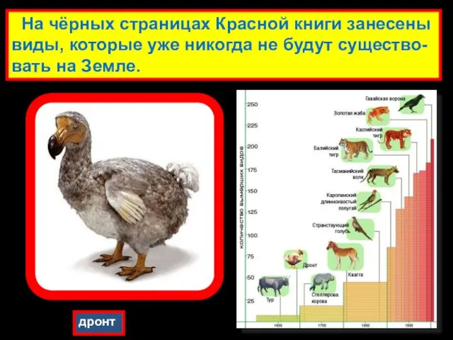 На чёрных страницах Красной книги занесены виды, которые уже никогда не будут