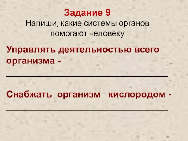 Задание 9 Напиши, какие системы органов помогают человеку Управлять деятельностью всего организма