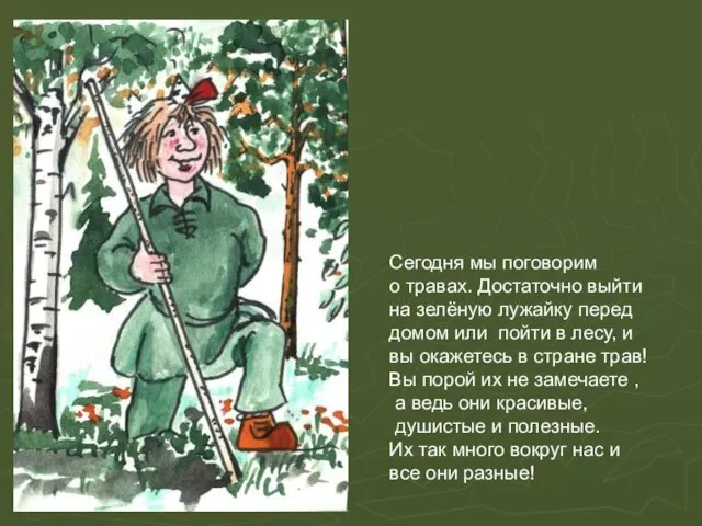 Сегодня мы поговорим о травах. Достаточно выйти на зелёную лужайку перед домом