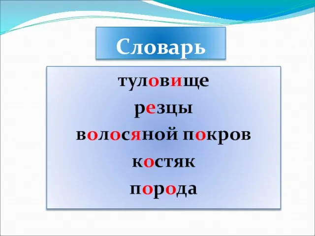 Словарь туловище резцы волосяной покров костяк порода