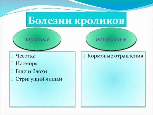 Болезни кроликов Чесотка Насморк Вши и блохи Стригущий лишай Кормовые отравления заразные незаразные