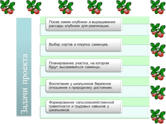 Задачи проекта