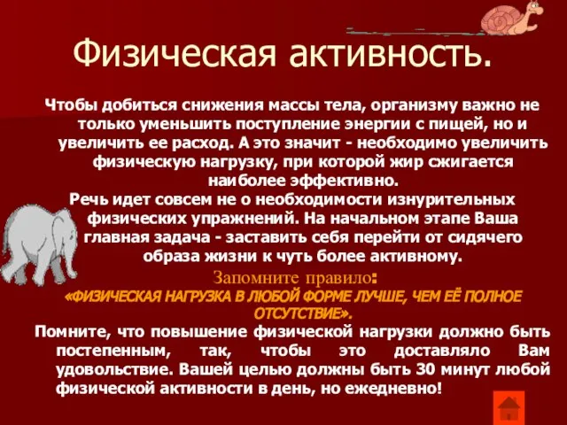 Физическая активность. Чтобы добиться снижения массы тела, организму важно не только уменьшить