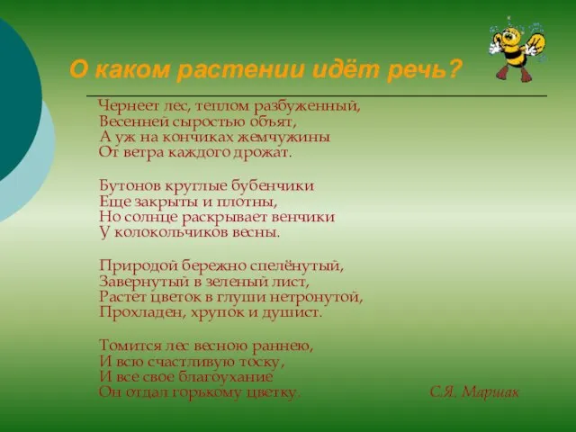 О каком растении идёт речь? Чернеет лес, теплом разбуженный, Весенней сыростью объят,