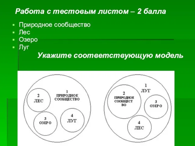 Природное сообщество Лес Озеро Луг Укажите соответствующую модель Работа с тестовым листом – 2 балла