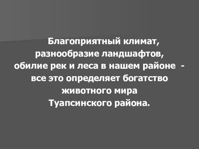 Благоприятный климат, разнообразие ландшафтов, обилие рек и леса в нашем районе -