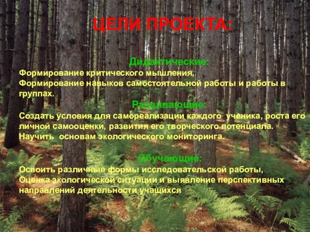 ЦЕЛИ ПРОЕКТА: Дидактические: Формирование критического мышления, Формирование навыков самостоятельной работы и работы