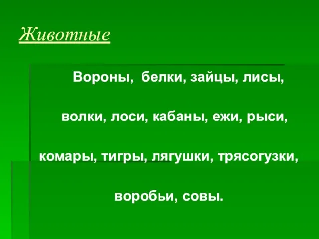 Животные Вороны, белки, зайцы, лисы, волки, лоси, кабаны, ежи, рыси, комары, тигры, лягушки, трясогузки, воробьи, совы.