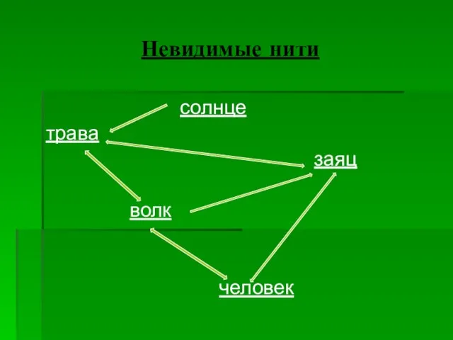 Невидимые нити солнце трава заяц волк человек