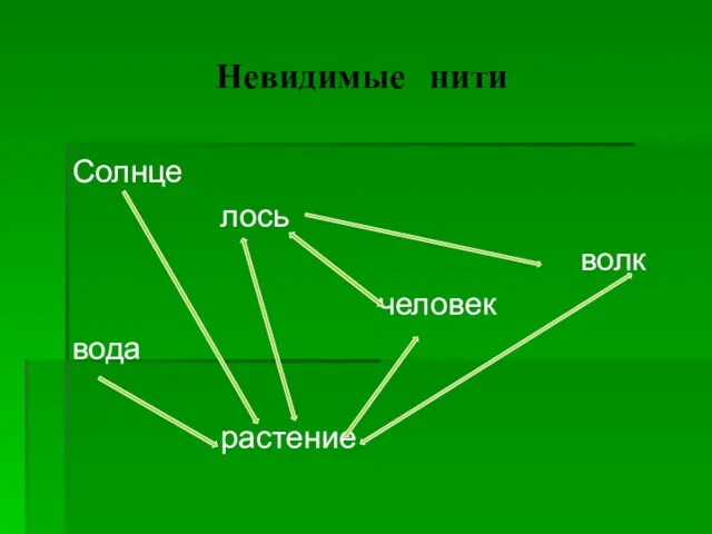 Невидимые нити Солнце лось волк человек вода растение