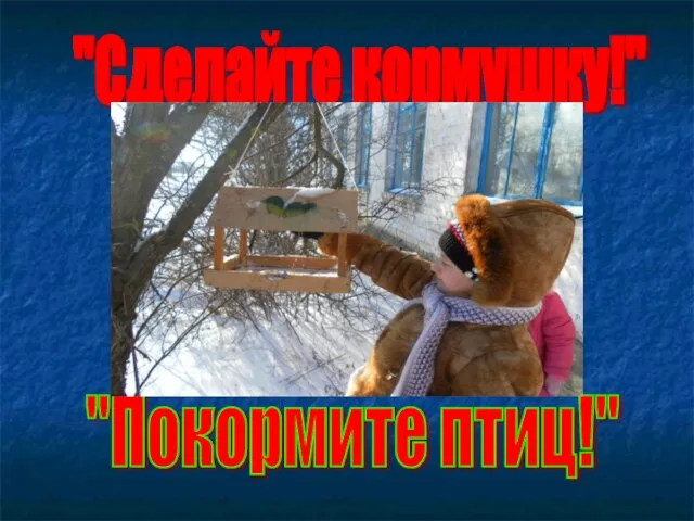 "Сделайте кормушку!" "Покормите птиц!"