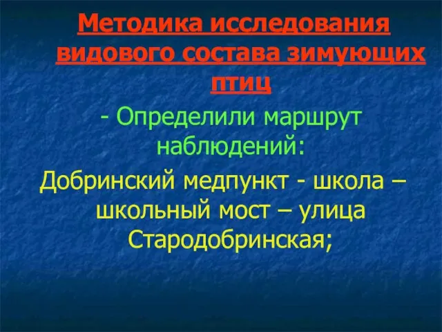 Методика исследования видового состава зимующих птиц - Определили маршрут наблюдений: Добринский медпункт