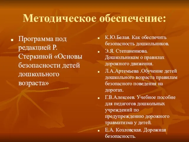 Методическое обеспечение: Программа под редакцией Р.Стеркиной «Основы безопасности детей дошкольного возраста» К.Ю.Белая.