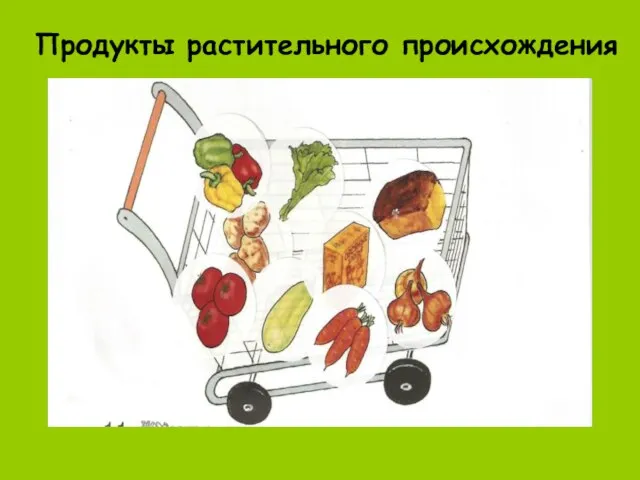 Продукты растительного происхождения