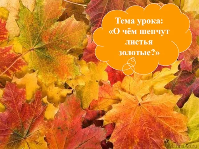 Тема урока: «О чём шепчут листья золотые?»