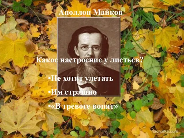 Аполлон Майков Какое настроение у листьев? Не хотят улетать Им страшно «В тревоге вопят»