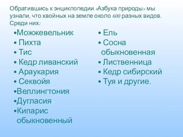 Можжевельник Пихта Тис Кедр ливанский Араукария Секвойя Веллингтония Дугласия Кипарис обыкновенный Ель