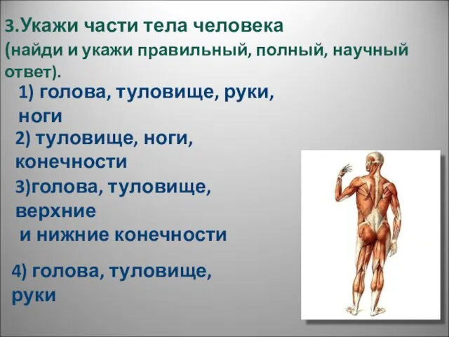 3.Укажи части тела человека (найди и укажи правильный, полный, научный ответ). 1)