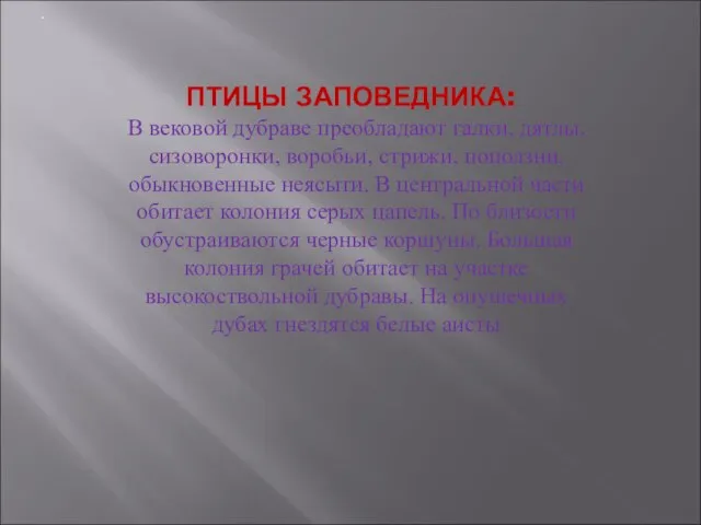 ПТИЦЫ ЗАПОВЕДНИКА: В вековой дубраве преобладают галки, дятлы, сизоворонки, воробьи, стрижи, поползни,