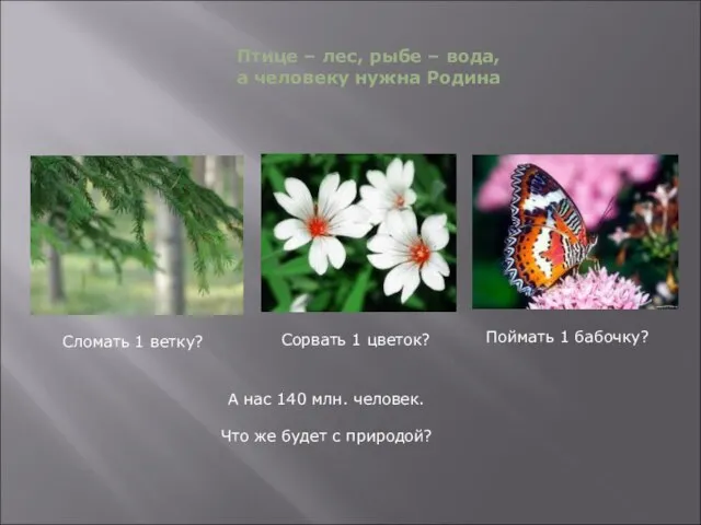 Сломать 1 ветку? Сорвать 1 цветок? Поймать 1 бабочку? А нас 140