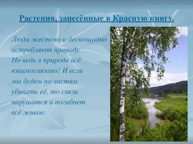 Растения, занесённые в Красную книгу. Люди жестоко и беспощадно истребляют природу. Но