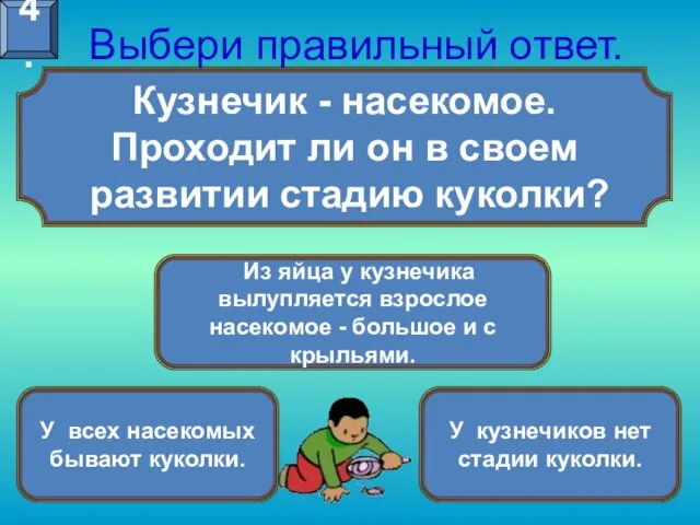 Кузнечик - насекомое. Проходит ли он в своем развитии стадию куколки? Выбери