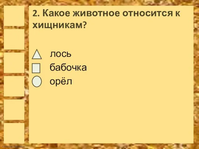 2. Какое животное относится к хищникам? лось бабочка орёл