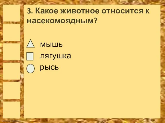 3. Какое животное относится к насекомоядным? мышь лягушка рысь