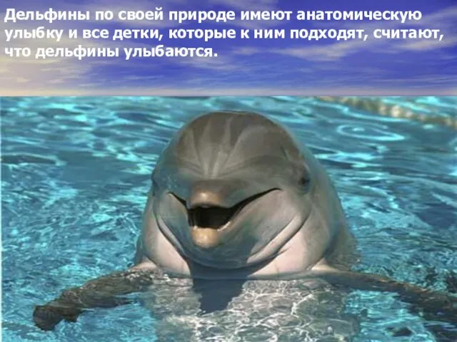 Дельфины по своей природе имеют анатомическую улыбку и все детки, которые к