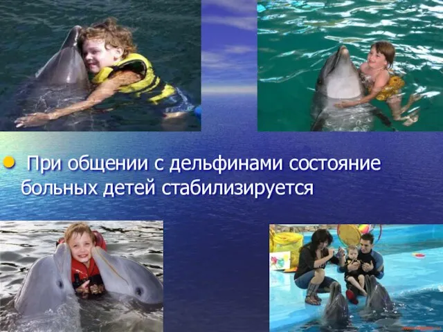 При общении с дельфинами состояние больных детей стабилизируется