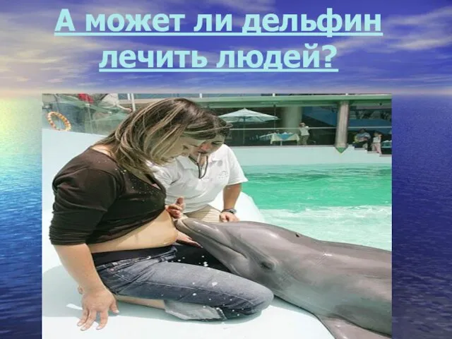 А может ли дельфин лечить людей?