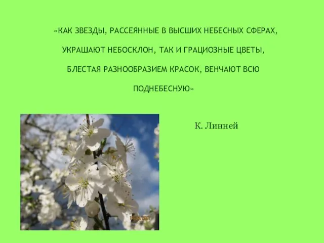 «КАК ЗВЕЗДЫ, РАССЕЯННЫЕ В ВЫСШИХ НЕБЕСНЫХ СФЕРАХ, УКРАШАЮТ НЕБОСКЛОН, ТАК И ГРАЦИОЗНЫЕ