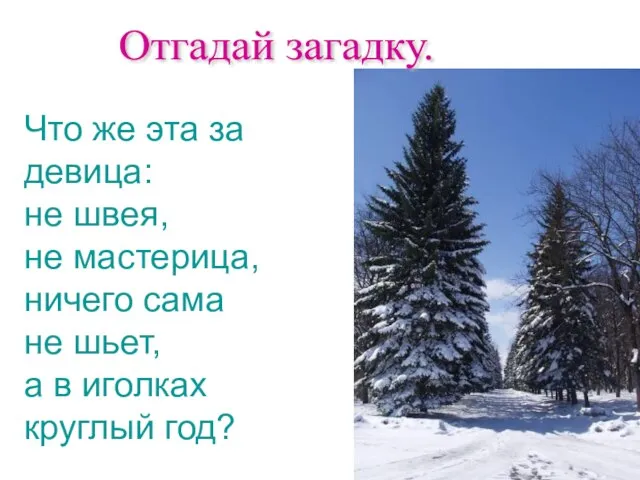 Отгадай загадку. Что же эта за девица: не швея, не мастерица, ничего