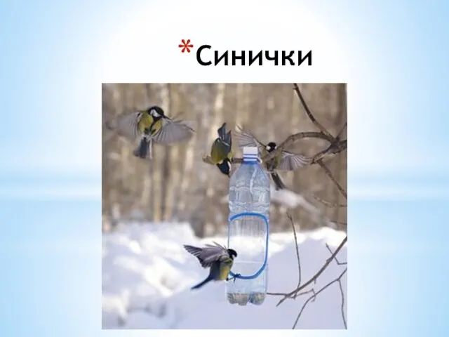 Синички