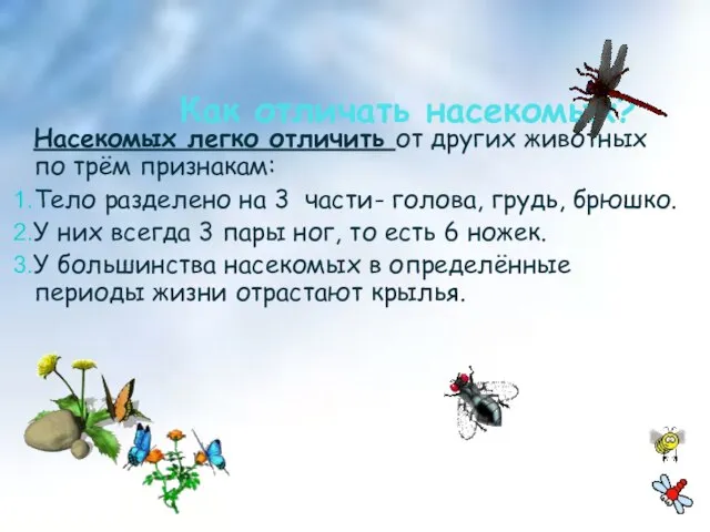 Как отличать насекомых? Насекомых легко отличить от других животных по трём признакам: