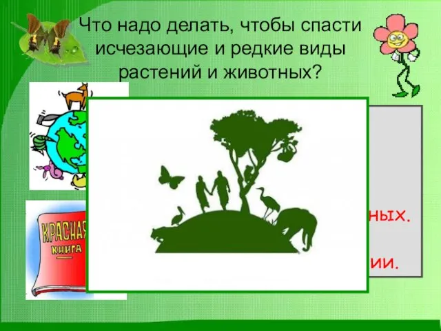 Что надо делать, чтобы спасти исчезающие и редкие виды растений и животных?