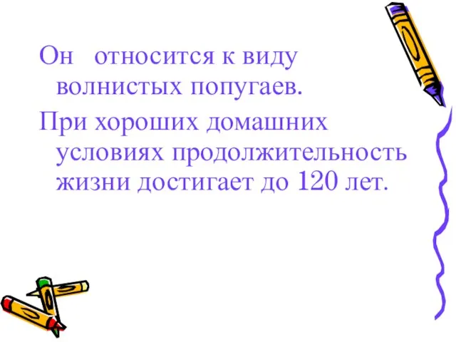 Он относится к виду волнистых попугаев. При хороших домашних условиях продолжительность жизни достигает до 120 лет.