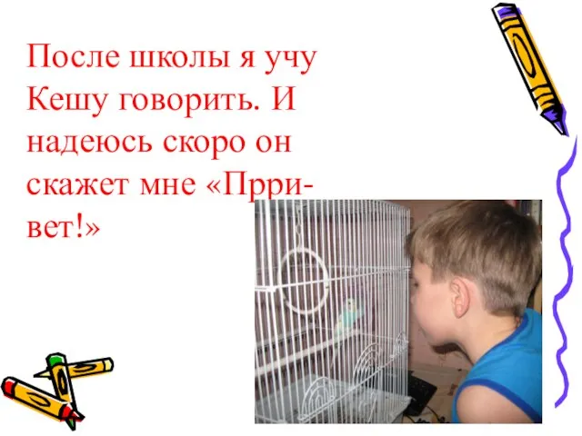 После школы я учу Кешу говорить. И надеюсь скоро он скажет мне «Прри-вет!»