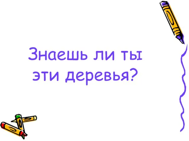 Знаешь ли ты эти деревья?