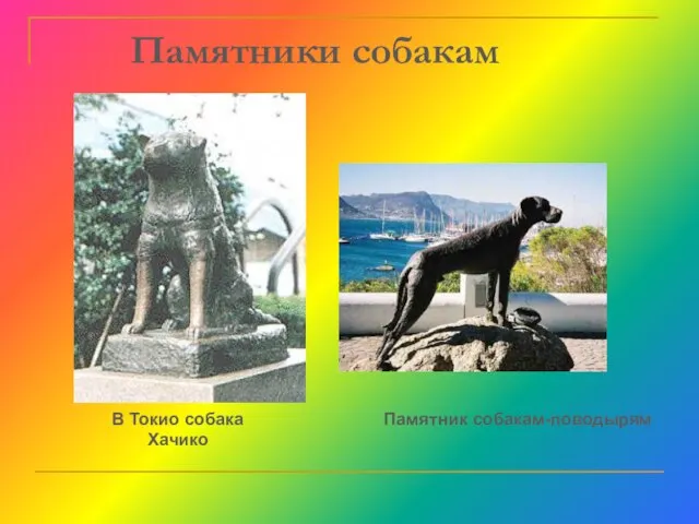 Памятники собакам В Токио собака Хачико Памятник собакам-поводырям http://www.proshkolu.ru/user/mihailos/blog/51634/&translate=yes