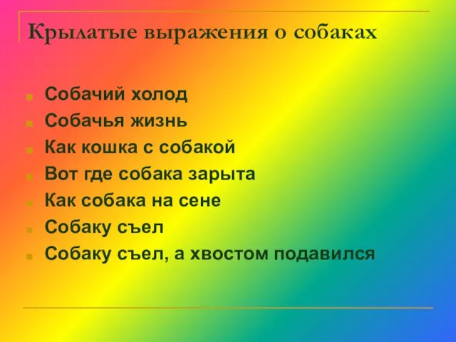 Крылатые выражения о собаках Собачий холод Собачья жизнь Как кошка с собакой