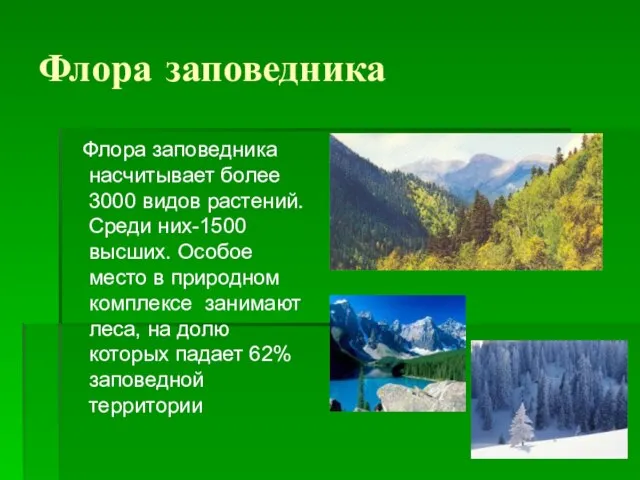 Флора заповедника Флора заповедника насчитывает более 3000 видов растений. Среди них-1500 высших.