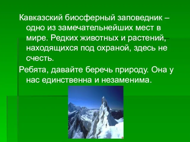 Кавказский биосферный заповедник – одно из замечательнейших мест в мире. Редких животных