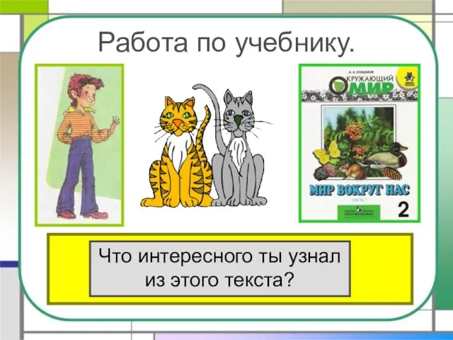 Работа по учебнику. Прочитай текст «Кошки» в учебнике на стр.80. Что интересного