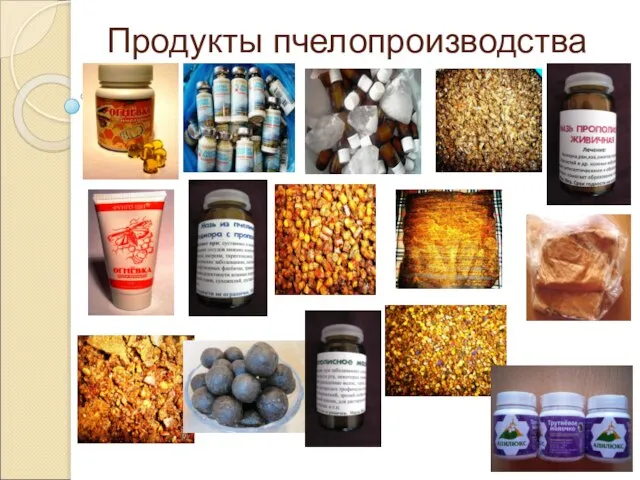 Продукты пчелопроизводства