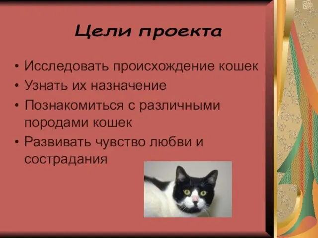 Исследовать происхождение кошек Узнать их назначение Познакомиться с различными породами кошек Развивать