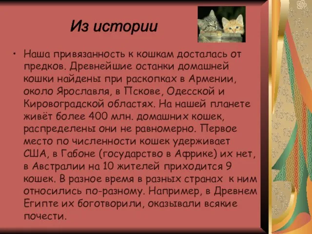 Наша привязанность к кошкам досталась от предков. Древнейшие останки домашней кошки найдены