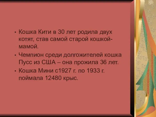 Кошка Кити в 30 лет родила двух котят, став самой старой кошкой-мамой.