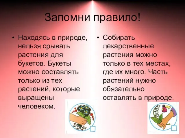 Запомни правило! Находясь в природе, нельзя срывать растения для букетов. Букеты можно