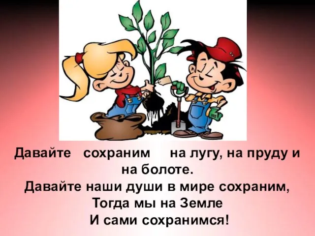 Давайте сохраним на лугу, на пруду и на болоте. Давайте наши души